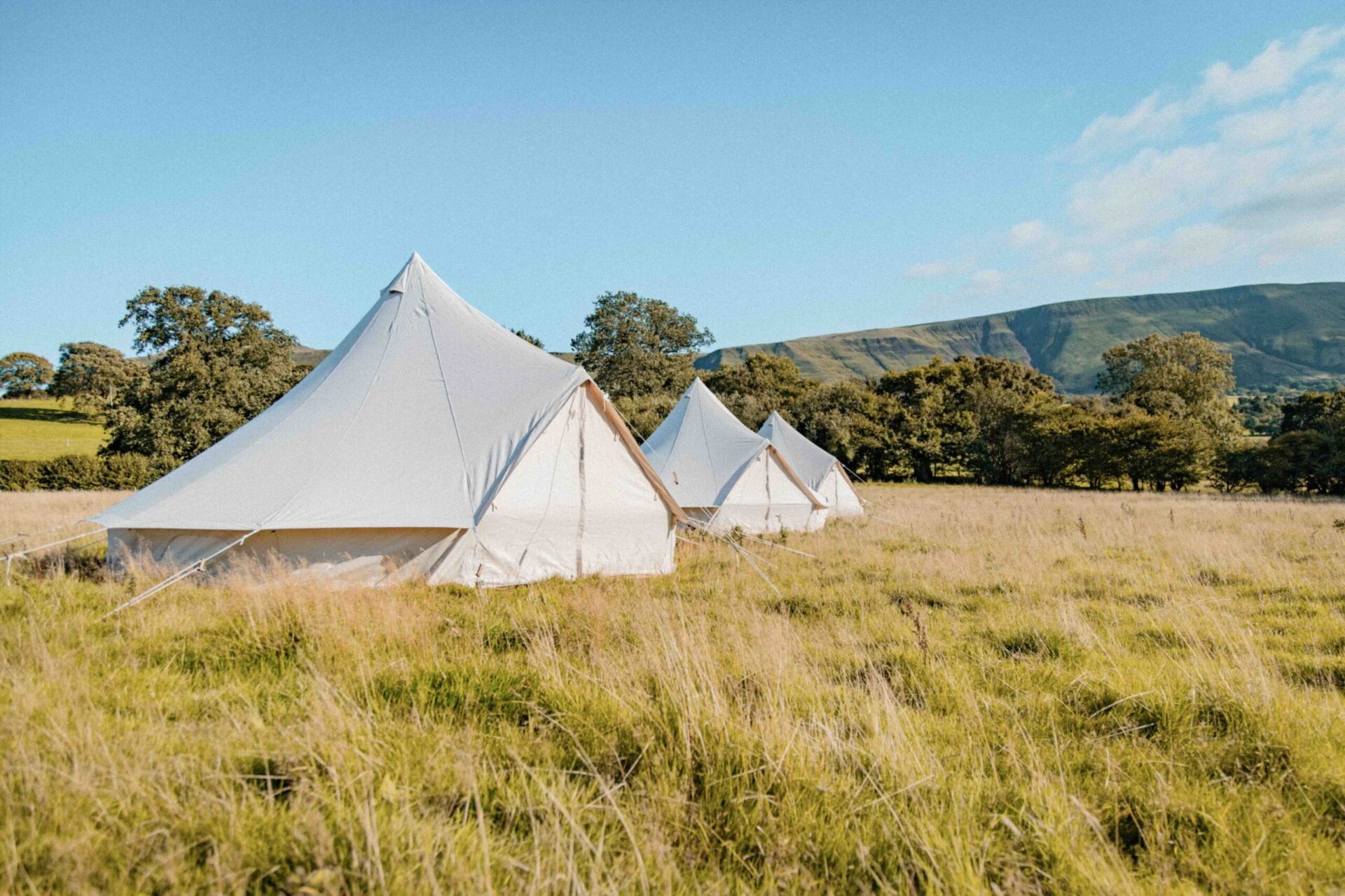 Bell tents set up for Uk Festival